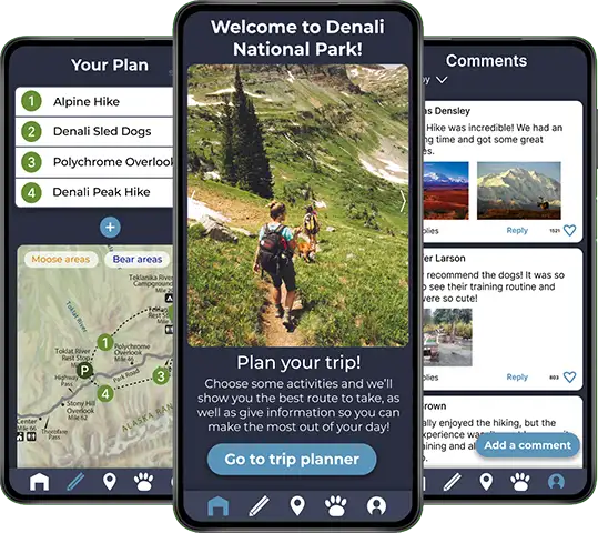 Denali Project